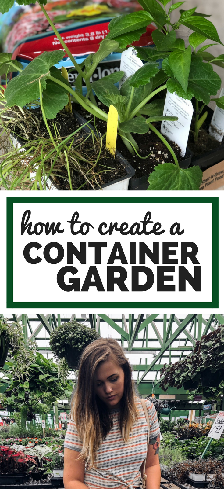 How to Create a Container Garden