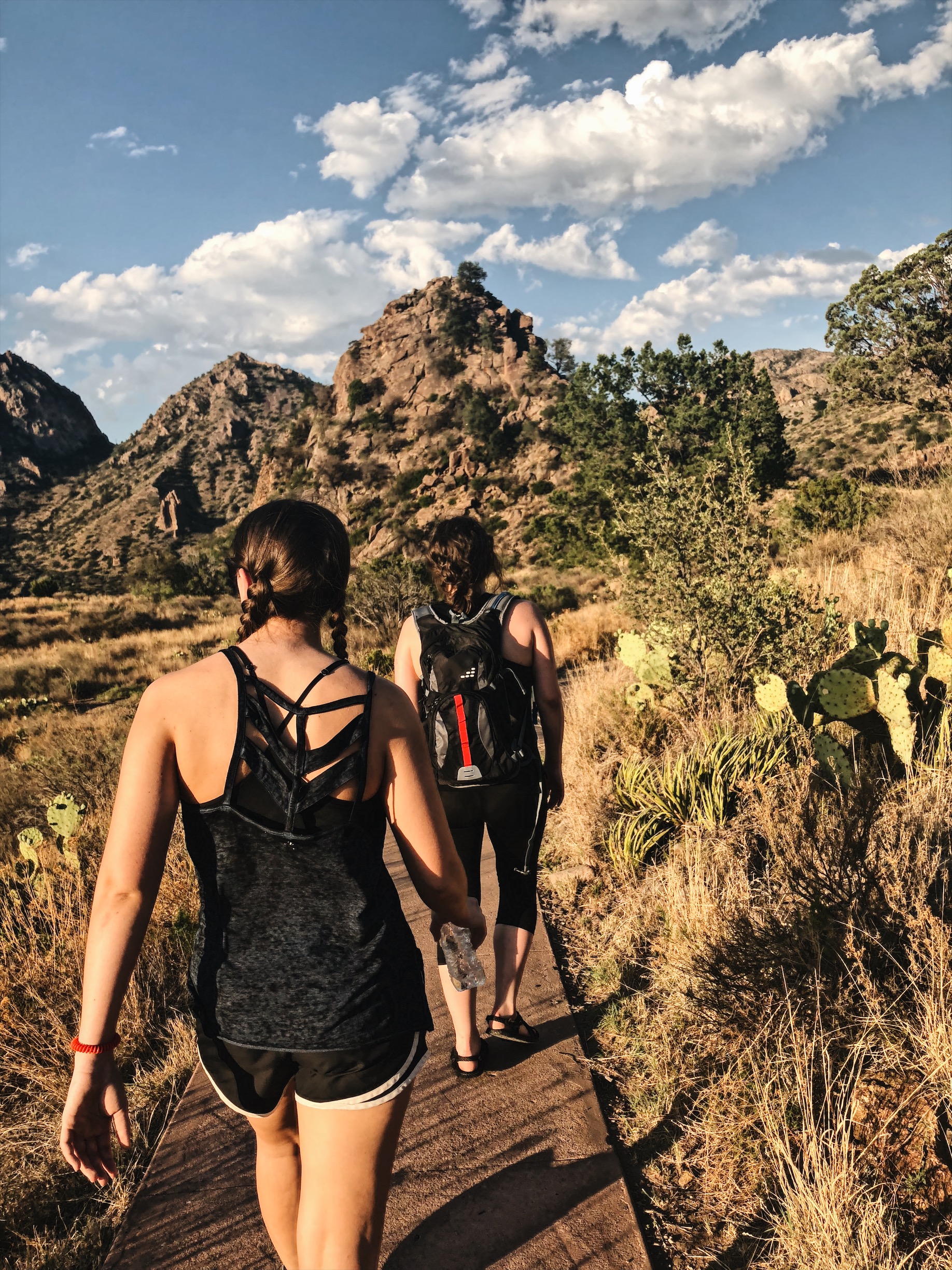 How I Spent Three Days in Big Bend National Park