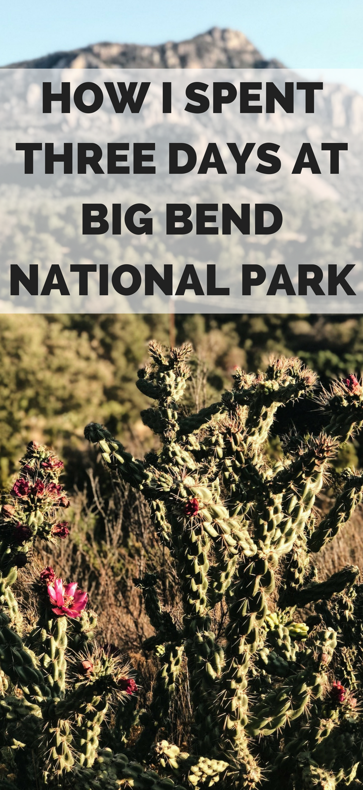 How I Spent Three Days in Big Bend National Park