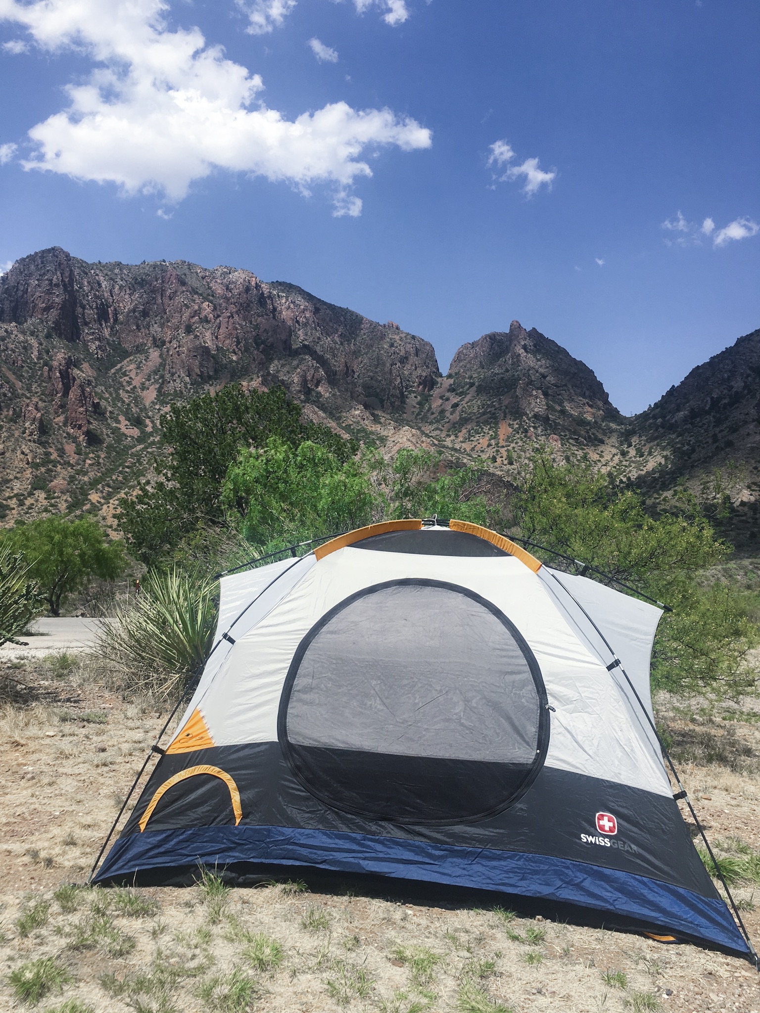 How I Spent Three Days in Big Bend National Park