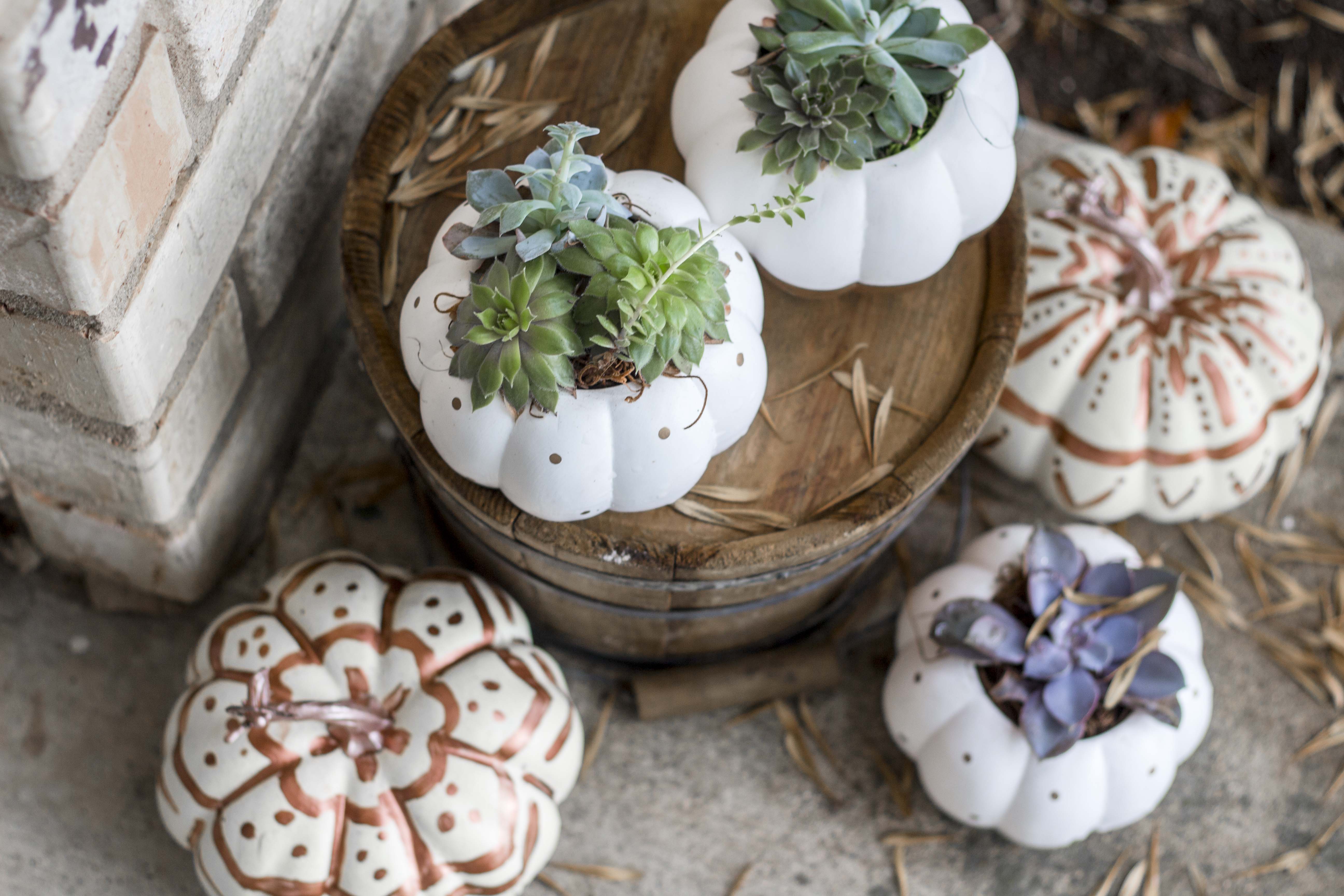 Bohemian painted pumpkins 