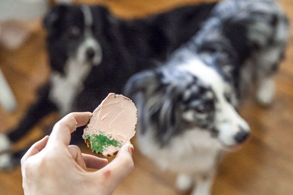 Homemade Easter Egg treats for your dog